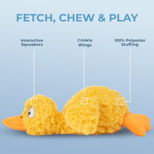 Best Pet Supplies Squeaky Plush Dog Toy - Ducky Doodle, Small | Soft Plush, Squeaks & Crinkles, Perfect for Moderate Chewers, Toss & Fetch Play, Stress & Anxiety Reliever, Ideal Gift Toy - color: Ducky Doodle (Yellow), size: Small