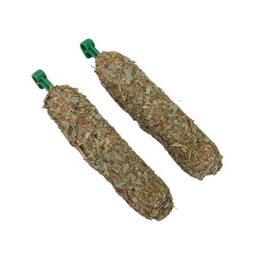Accretion Eucalyptus Chew Sticks for Small Pets, Natural Treat with Oats & Honey for Sugar Gliders, Chinchillas, Rabbits