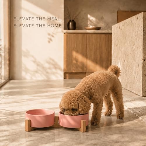 SPUNKYJUNKY Ceramic Dog and Cat Bowl with Wood Stand Non-Slip Matte Glaze Weighted Food Water Set for Cats &Small Dogs 13.5 OZ - color: Pink × 2, size: 1.7 cups