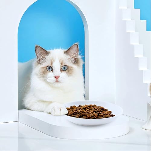 10 Ceramic Cat Feeding Bowls, 6 Inch Wide Shallow Plates for Dry/Wet Food | Reduces whisker contact; lead-free; holds water too; dishwasher safe; stable heavy design; for cats & small dogs - color: White