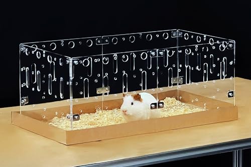 GuineaLoft™ Acrylic Cage (Model-C2) - Small 2x1 ft Open Cage for a Single Guinea Pig, Disposable Bottom, Connectable, DIY Extendable - Visit the Guinea Loft Store to See It All - color: Model-C2