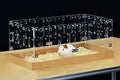 GuineaLoft™ Acrylic Cage (Model-C2) - Small 2x1 ft Open Cage for a Single Guinea Pig, Disposable Bottom, Connectable, DIY Extendable - Visit the Guinea Loft Store to See It All - color: Model-C2