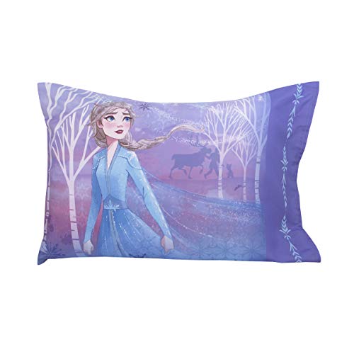 Disney Frozen II 4pc Toddler Set - color: Disney Frozen 2 Traveling North