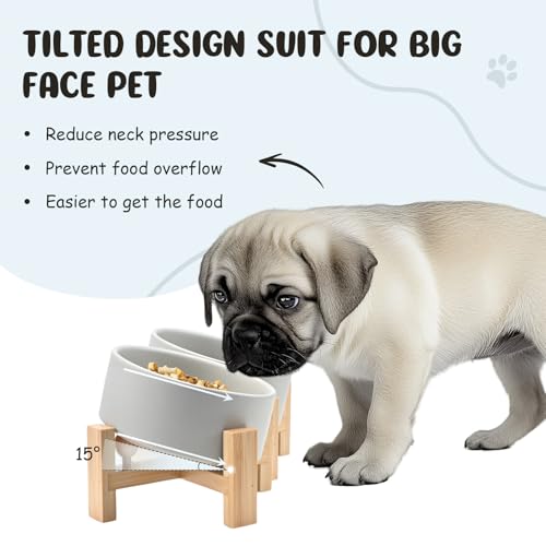 SPUNKYJUNKY 15° Slanted Ceramic Dog and Cat Bowl with Wooden Stand, Tilted Bulldog Food and Water Bowl No Slip Non-Spill for Cats Medium Dogs Big Face Pets 13.5 OZ (1.7 Cups, Grey × 2) - color: Grey, size: 1.7 CUPS × 2