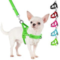 SlowTon No Pull Small Dog Harness and Leash Set with Front Clip | Soft Padded, Neck & Chest Adjustable, Lightweight, Anti-Twist, Puppy Vest Harness Pet Lead Combo for Small Medium Dog, G XS - color: Green, size: X-Small