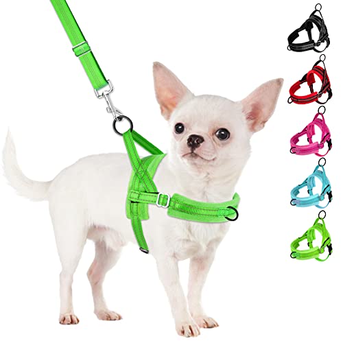 SlowTon No Pull Small Dog Harness and Leash Set with Front Clip | Soft Padded, Neck & Chest Adjustable, Lightweight, Anti-Twist, Puppy Vest Harness Pet Lead Combo for Small Medium Dog, G XS - color: Green, size: X-Small