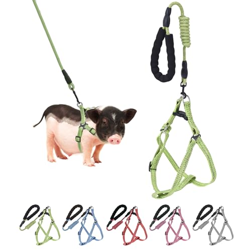 YeeBeny Mini Pig Harness Adjustable with Leash Foam Handle Green, S | Adjustable Small Pig Harness with Leash Infinity Style Lead and Soft Foam Handle for Walking Training Jogging - color: Green, size: S