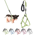 YeeBeny Mini Pig Harness Adjustable with Leash Foam Handle Green, S | Adjustable Small Pig Harness with Leash Infinity Style Lead and Soft Foam Handle for Walking Training Jogging - color: Green, size: S