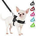 SlowTon No Pull Small Dog Harness and Leash Set with Front Clip | Soft Padded, Neck & Chest Adjustable, Lightweight, Anti-Twist, Puppy Vest Harness Pet Lead Combo for Small Medium Dog, B, S - color: Black, size: Small