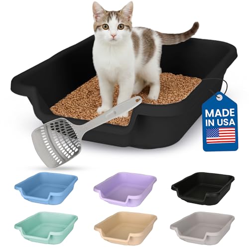 KittyGoHere Senior Cat Litter Box, Small Litter pan with Long-Handle Jumbo Scoop, Open Top Low Entrance Kitty Litters Box, Lightweight Low Entry Litter Box, Durable, Made in USA (Black) - color: Black, size: Small with Scoop