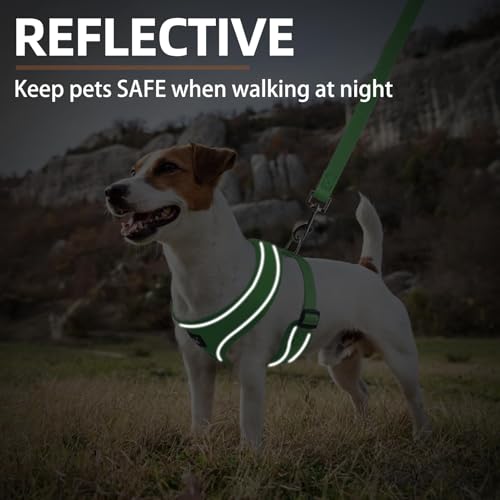PUPTECK Soft Mesh Dog Harness and Leash Set Pet Puppy Cat Comfort Padded Vest No Pull Harnesses, Solid Green, S - color: Solid Green, size: S (NECK: 12", CHEST: 14"-18")