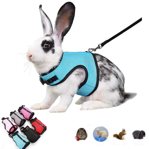 Rabbit Harness and Leash Escape Proof Soft Bunny Harnesses Mesh Vest Blue M | Adjustable Buckle for Ferret Guinea Pig Hamster Squirrel Rat Walking Small Animal Pets - color: Blue, size: M (Neck:5.5"-7" Chest:6.2"-8.5")