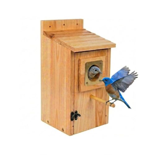 Bird Houses for Outside Clearance with Copper Guard, Cedar Bird House Outdoor, Bluebird Finch Swallow Wren Chickadee Self-Assembly Kit, 1 Pack