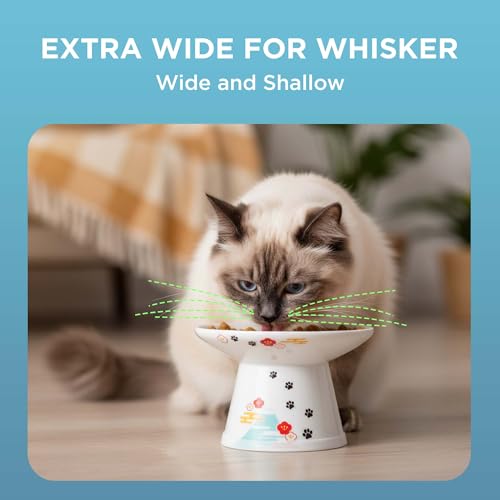 Necoichi Ceramic Extra-Wide Elevated Cat Food Bowl (Fuji, Extra Wide) - color: Fuji, size: Large Extra Wide