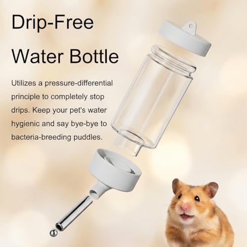 No Drip Hamster Water Bottle, 2 in 1 Automatic Water Dispenser & Food Bowl | Sealed Freestanding Small Animal Gravity Feeder, Hamster Cage Accessories for Dwarf Hamster, Gerbil, Rat, Mice (Green) - color: Green