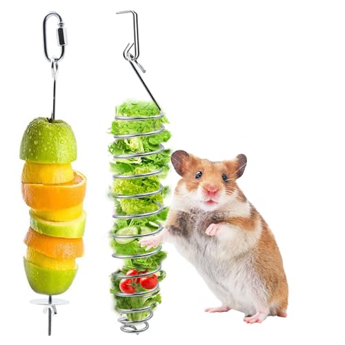 2pcs Rat Enrichment Foraging Toys, 304 Stainless Steel Pet Rats Fruit Vegetable Holder, Hanging Slow Feeder Mice Feeder, Fancy Mice Cage Accessories Puzzle Toy for Hamster Rodents Bird Parakeet