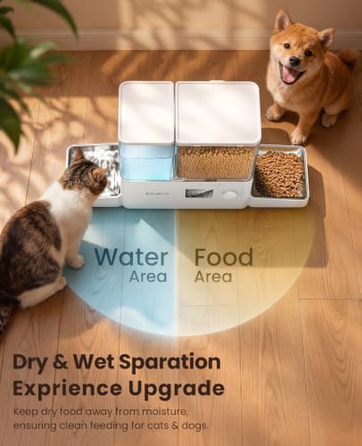 Automatic Cat Feeder & Water Dispenser,Button Customizable Feeding | 2 in 1 Feeding Drinking Water/5L Food Feeder,3.5L Water Fountain/Stainless Steel Bowls/Detachable Clean/White - color: White, size: 8.5L-Standard