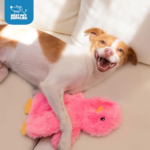 Best Pet Supplies Interactive Squeaky Dog Chew Toy, Ideal Dog Toys for Chewers, Small, Medium & Large Dogs, and Fetch Lovers - Crinkle Chicken (Yellow, Pink, Blue), Large - color: Crinkle Chicken (Yellow, Pink, Blue), size: Large
