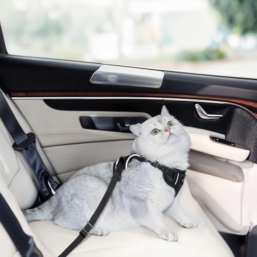 Cat Harness and Leash for Walking, Cat Car Harness, Soft Adjustable Vest Harnesses for Cats, Easy Control Breathable Reflective Strips Harness, Kitten Harness and Leash Set, Black, S - size: Small