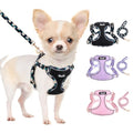 Lukovee Puppy Harness and Leash Set, No Pull Step in Lightweight Mesh Vest | Soft, Reflective, Easy Put on and off, Adjustable, Breathable Air Mesh, with 51in Leash for Walking Hiking (Black, XXS) - color: Black, size: XX-Small (2.2-6 lb)