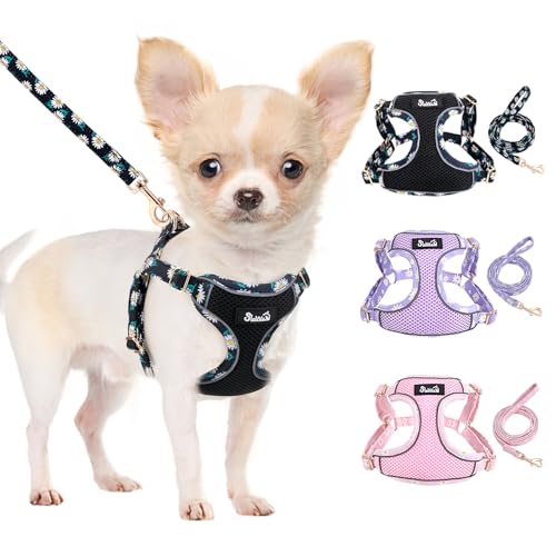 Lukovee Puppy Harness and Leash Set, No Pull Step in Lightweight Mesh Vest | Soft, Reflective, Easy Put on and off, Adjustable, Breathable Air Mesh, with 51in Leash for Walking Hiking (Black, S) - color: Black, size: Small (9-17.5 lb)