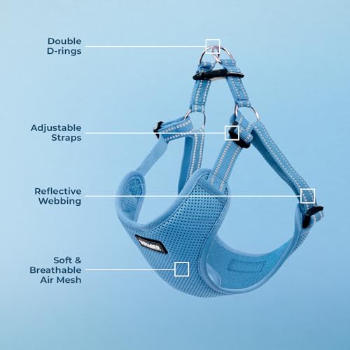 Voyager Step-in Flex Adjustable Dog Harness - Baby Blue, X-Large | 23 - 28" in Chest, Fully Adjustable, Reflective Bands, All Weather Breathable Air Mesh, Lightweight, Fast Drying - color: Harness (Baby Blue), size: XL