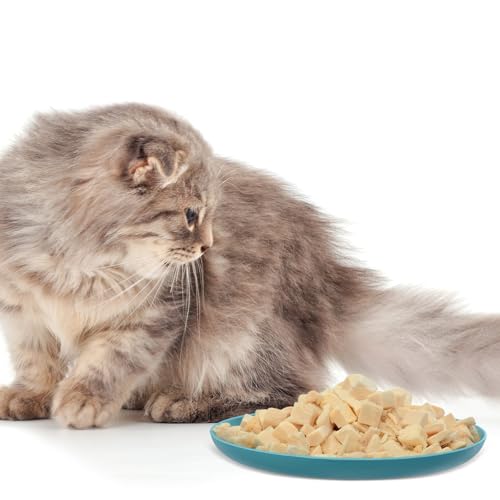 16 Pcs Fatigue Relief Cat Bowl, 5.8 Inch Shallow and Wide Pet Water and Food Dishes Kitten Wheat Straw Wet Feeding Bowl for Indoor Cat Stray Kitten Ferrets