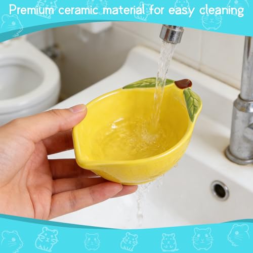 Small Guinea Pig Food Bowl Cute Ceramic Hamster Water Bowl Ferret Rat Chinchilla Rabbit Feeding Dish Young Animal Feeder (Lemon Yellow) - color: Lemon Yellow