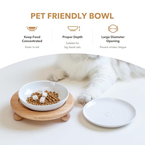 Havniva Elevated Cat Bowls, Cat Food and Water Bowl Set, Ceramic Cat Bowl | Raised Cat Food Bowls, Whisker Friendly, 5.6” Shallow Cat Dishes + 6” Wide Cat Plates, Non-Slip Wood Stand, Two Heights - color: White, size: 1 Bowl+1 Dish