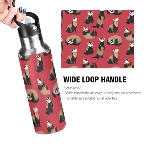 Ferrets Red Water Bottle Kids Stainless Steel Water Bottle with Straw Lid, Leak Proof Boys Girls Insulated Tumbler Cup for School 20 oz - color: Multi34