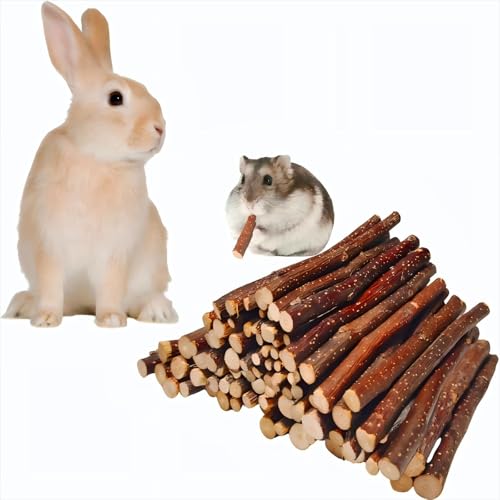 Apple Wood Sticks for Chinchilla,Chew Toys and Treats for Rabbit | Natural Chew Toys For Guinea Pig Hamster Gerbil Rabbit, Chew Toys for Teeth (Thin 600g-21oz) - style: Thin-21oz