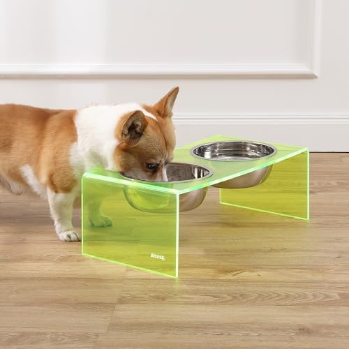 DBL2001G Keaton 7.5" Medium/Large Modern Acrylic Rectangular Elevated Pet Feeder with 54oz 2-Stainless Steel Bowls, Green/Chrome - color: Green/Chrome, size: 54 Ounces (7.5" Cups 2-Pack)