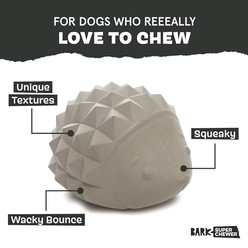 BarkBox Sven The Hedgie Super Chewer Dog Toy - Large | Natural Rubber, Wacky Bounce & Rippled Texture | Durable Dog Toy for Aggressive Chewers, Medium to Dogs - color: Sven the Hedgie - Large