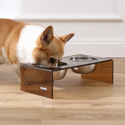 DBL2000D Keaton 5" Small/Medium Modern Acrylic Rectangular Elevated Pet Feeder with 20oz 2-Stainless Steel Bowls, Amber/Chrome - color: Amber/Chrome, size: 20 Ounces (5" Cups 2-Pack)