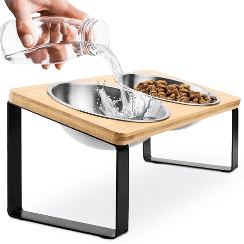 Raised cat Bowls for Indoor Cats by WinTruffles, Elevated cat Bowls, Tilted and Elevated Anti Vomiting Cat Dishes for Food and Water, Set of 2 Stainless Steel Bowl - color: 2 bowls