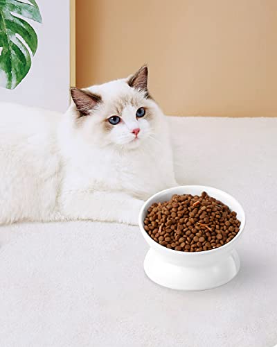 LoeJan Elevated Cat Food Bowl, 5 Oz Ceramic Raised and Tilted Water Bowl, Anti Vomiting and Protect Pets' Spines Dishes for Small Dog, Fat Faced Cat, Kitten (White, 1 Pack) - color: White