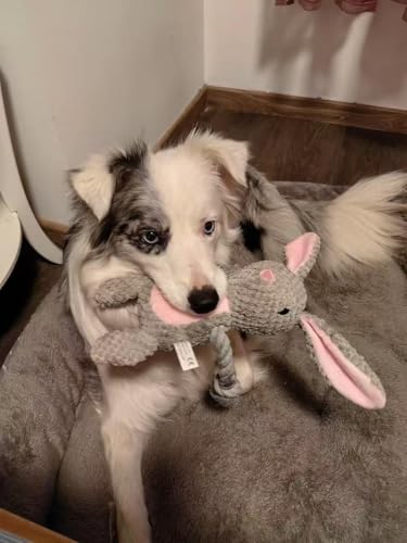 Plush Bunny Dog Toy, Squeaky Tug Toy with Rope Arms for Small Medium Dogs | Cute plush toy with sound features, designed for small and medium dogs, indoor play and daily entertainment - color: Grey