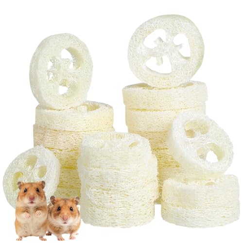 Toddmomy Rabbit Chew Toys 20pcs Loofah Teeth Grinding Toys Small Animal Tooth Cleaning Tools for Guinea Pig Chinchilla Hamster