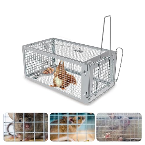 Humane Rat Trap, Chipmunk Rodent Trap that Work for Indoor and Outdoor Small Animal - Mouse Voles Hamsters Live Cage Catch and Release 1 Pack