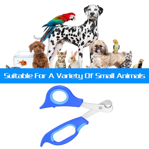 Stainless Steel Bearded Dragon Claw Trimmer, Reptile Clippers for Small Reptiles, Turtle, Chameleon, Hedgehog(Blue)
