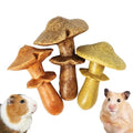 TEEWY 3PCS Guinea Pig Chew Toys, Prevent Teeth Overgrowth, Natural Timothy Grass & Vegetables, Hamster Chew Toys, Guinea Pig Toys, Chinchilla Toys, Mushroom-Shaped - style: 3PCS-Mushrooms