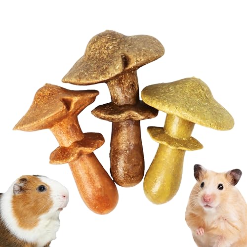 TEEWY 3PCS Guinea Pig Chew Toys, Prevent Teeth Overgrowth, Natural Timothy Grass & Vegetables, Hamster Chew Toys, Guinea Pig Toys, Chinchilla Toys, Mushroom-Shaped - style: 3PCS-Mushrooms