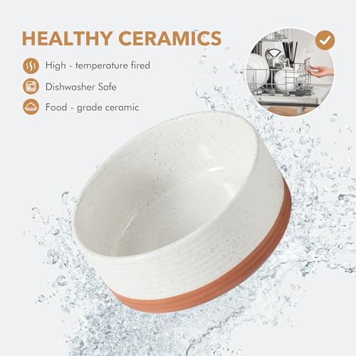 Havniva Dog Bowls Ceramic, Dog Food and Water Bowl Set | 5.1inch Dog Food Bowl, Dog Water Bowl, Food-Grade Ceramic Non-Slip Rubber Base, Dishwasher Safe, 2 Pack, Small Dogs, Puppy - color: 2 Bowls-Vanilla White, size: 1.6CUPS