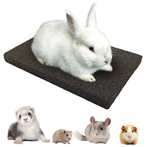 BNOSDM Rabbit Grinding Claw Pads Bunny Scratch Foot Pads Natural Hamster Lava Stone for Teeth Grinding Black Guinea Pig Scratching Board Chew Toy for Ferret Chinchilla Mouse - color: Black 1x Large