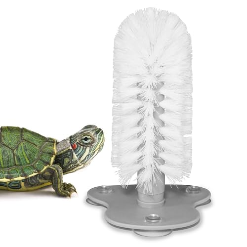 Turtle Brush with Suction Cup for Tank, Three High Suction Power Suction Cup Turtle Shell Cleaning Brush, White - color: White