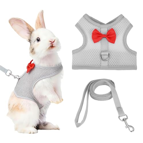 Rabbit Harness and Leash, Small Pet Cute Vest Harness Leash Soft Adjustable Buckle Breathable Mesh (M, Gray) for Bunny Kitten Small Pig Puppies Camping Hiking Training - color: Gray, size: M