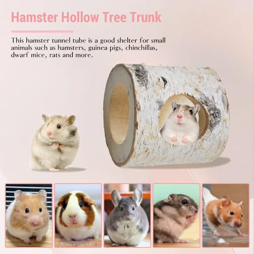 Dwarf Hamster Wood Tunnel,Hollow Trunk Hole Mice Tube Gerbil Cage Accessories for Chewing Climbing Small Animal Natural Birch Hideout