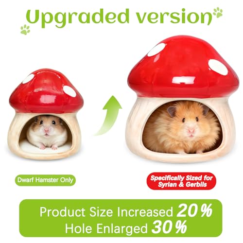 BNOSDM Ceramic Hamster Hideout Cute Mushroom Shape Hamster House and Habitat Cool Hamsters Hide Suitable for Syrian, Mice, Dwarf Hamsters, Gerbils (Red) - color: Red Hideout Solo