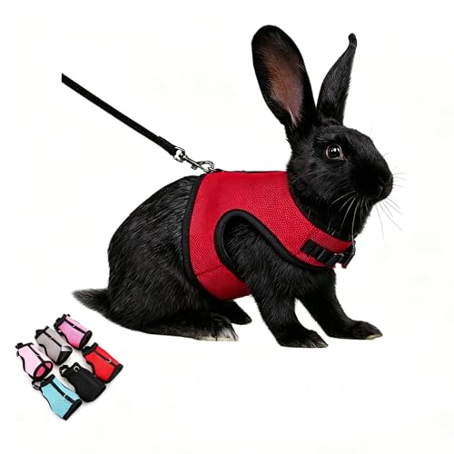 Rabbit Harness and Leash Set,Escape Proof Soft Bunny Mesh Vest with Buckle | Adjustable Small Animal Elastic Harness Outdoor Walking Training for Rat Squirrel Ferret Guinea Pig Bunny Red M - color: Red, size: M Chest 6.2-8.5''Mini Rabbit