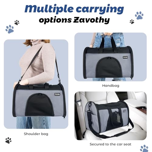 TSA Airline Approved Soft-Sided Pet Carrier for Small to Medium Cats and Puppies, Up to 15 Lbs – Collapsible Travel Carrier for Dogs & Cats, Grey